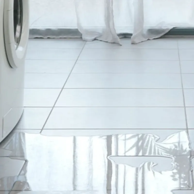 Appliance Leak Cleanup in Oskaloosa, KS