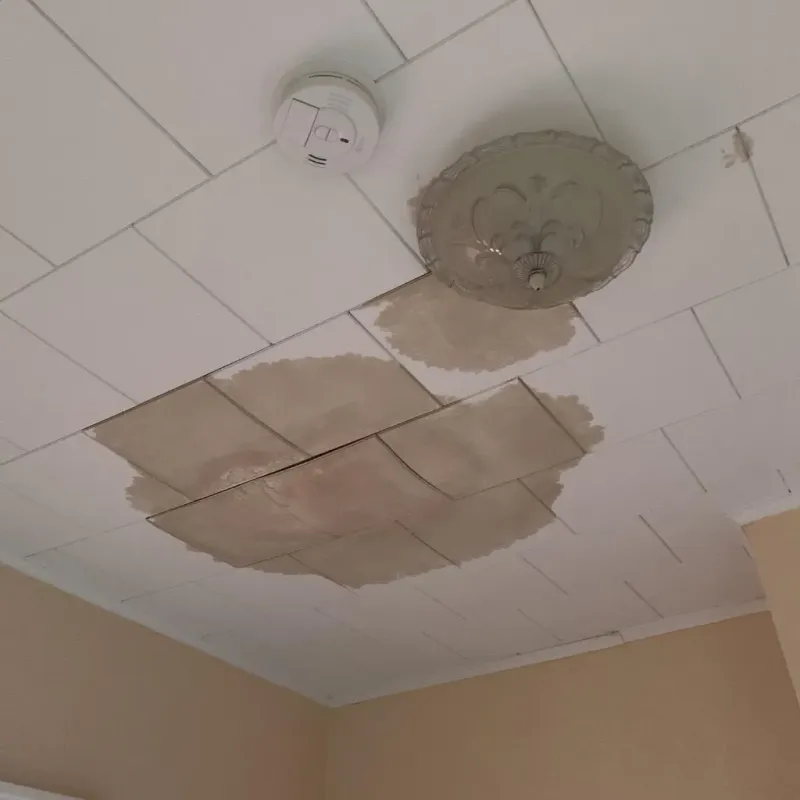 Ceiling Water Damage Repair in Oskaloosa, KS