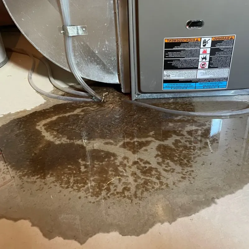 Pipe Burst and Leak Restoration in Oskaloosa, KS